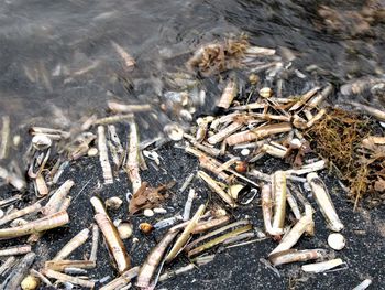 High angle view of cigarette on water