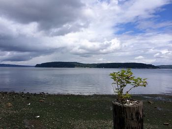 Scenic view of lake against sky