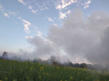 Scenic view of land against sky