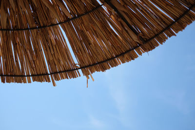 Low angle view of hanging tree against sky