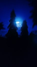 Low angle view of silhouette trees against sky at night