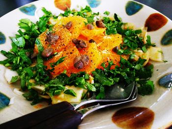 Close-up of salad in plate