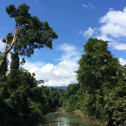 Scenic view of river against cloudy sky