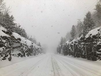 Road amidst trees against sky during winter