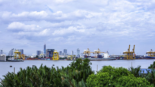 Plants by sea against sky in city