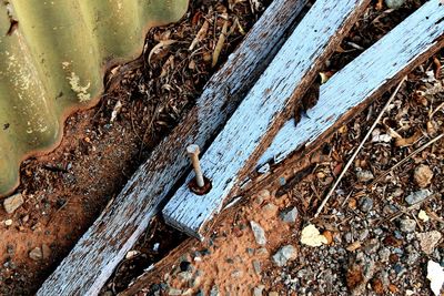 High angle view of rusty metal on tree trunk