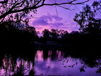 Silhouette trees by lake against sky at sunset