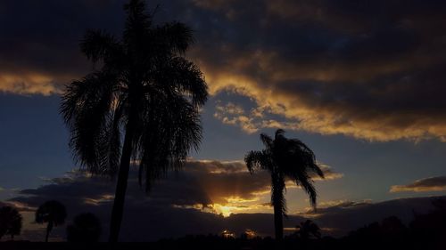 Silhouette of palm trees against cloudy sky