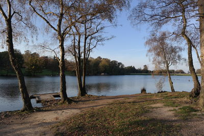 Scenic view of lake by trees against sky