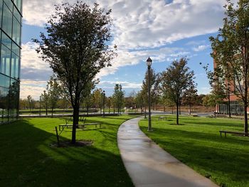 Trees in park against sky