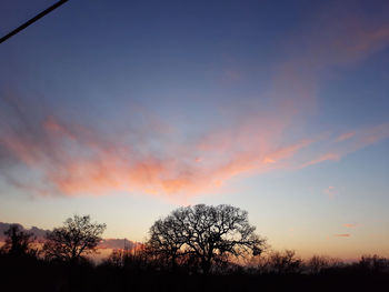 Silhouette trees on field against sky at sunset