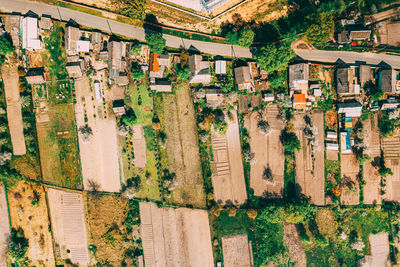 High angle view of trees and houses in town