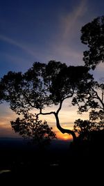 Silhouette trees against sky during sunset