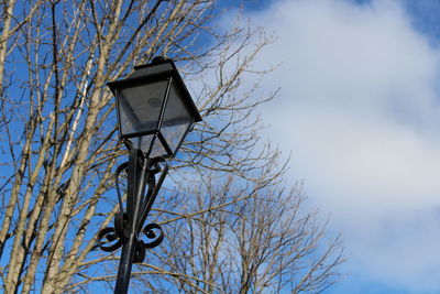 Low angle view of bare tree against sky