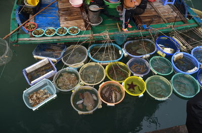 High angle view of seafood floating in lake for sale

