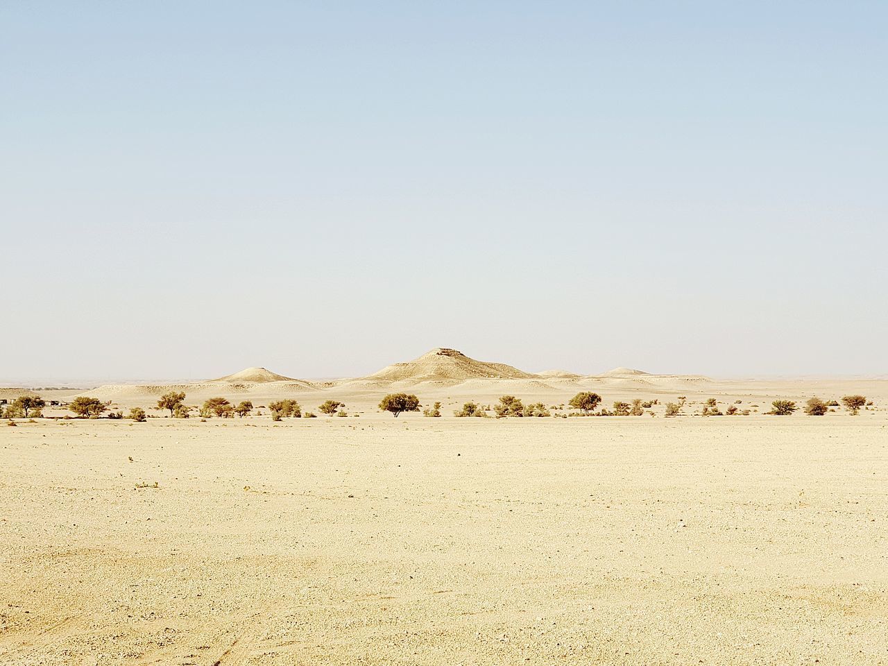 SCENIC VIEW OF DESERT AGAINST SKY