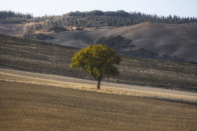 Orcia valley, siena province, tuscany district, italy, europe