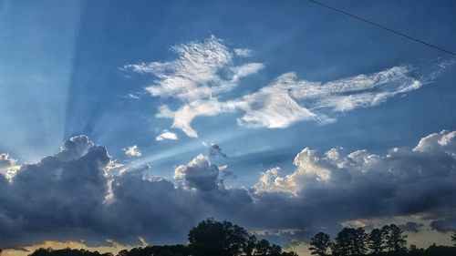 Low angle view of trees against sky