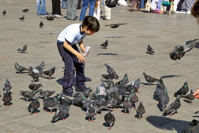 Full length of man feeding birds