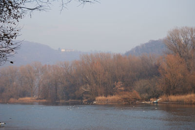 Scenic view of lake by trees against sky