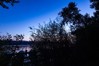 Low angle view of silhouette trees against clear blue sky