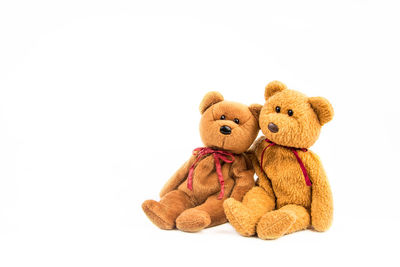 Close-up of stuffed toy against white background