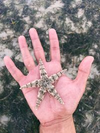 Close-up of human hand