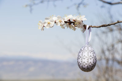 Happy easter, colorful eggs and spring tree flower