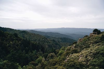 Scenic view of tree mountains against sky