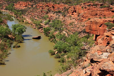 High angle view of river amidst trees