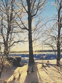 Bare trees on snow covered land against sky