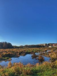 Scenic view of lake against clear blue sky