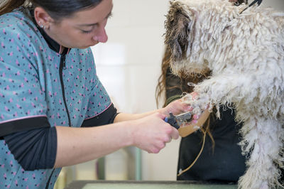 Young woman groomer cutting nails to a small pet in the salon