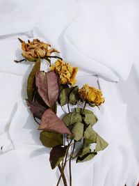 High angle view of wilted flower on table