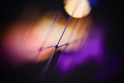 Close-up of person holding umbrella