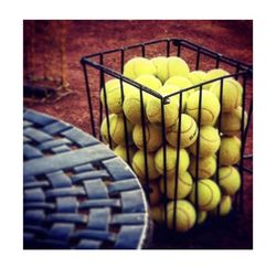 High angle view of fruits on table