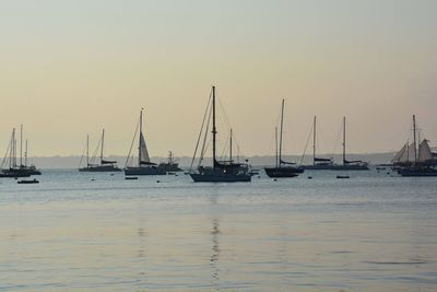 Sailboats in sea against sky during sunset