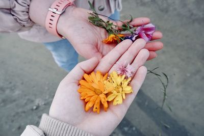 High angle view of woman holding flower bouquet