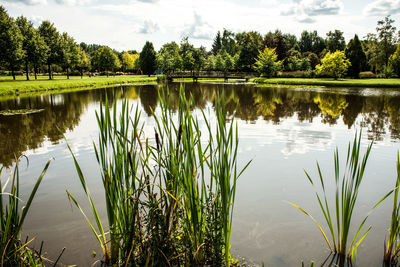 Scenic view of lake against sky