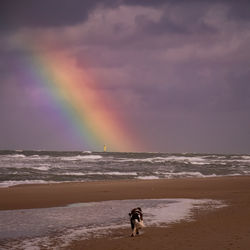 Rear view of woman walking at beach against sky during sunset