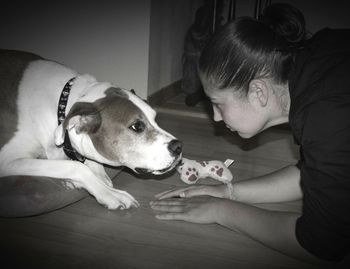 Dog relaxing at home