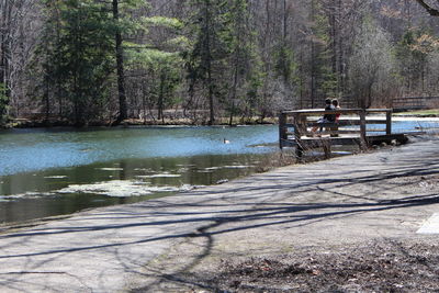 Lake in forest