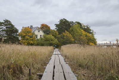 Footpath amidst trees on field against sky