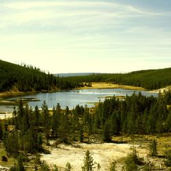 Lake with trees in background