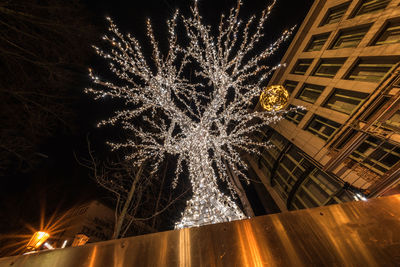 Low angle view of firework display at night