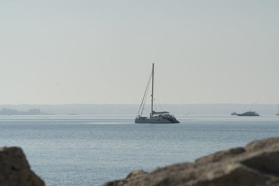 Sailboat sailing on sea against clear sky