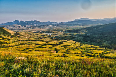 Scenic view of field against sky