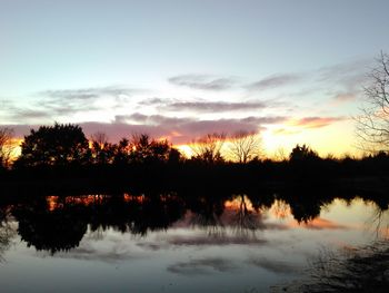 Reflection of trees in calm lake