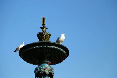 Low angle view of birds against blue sky