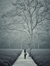Rear view of woman walking on road